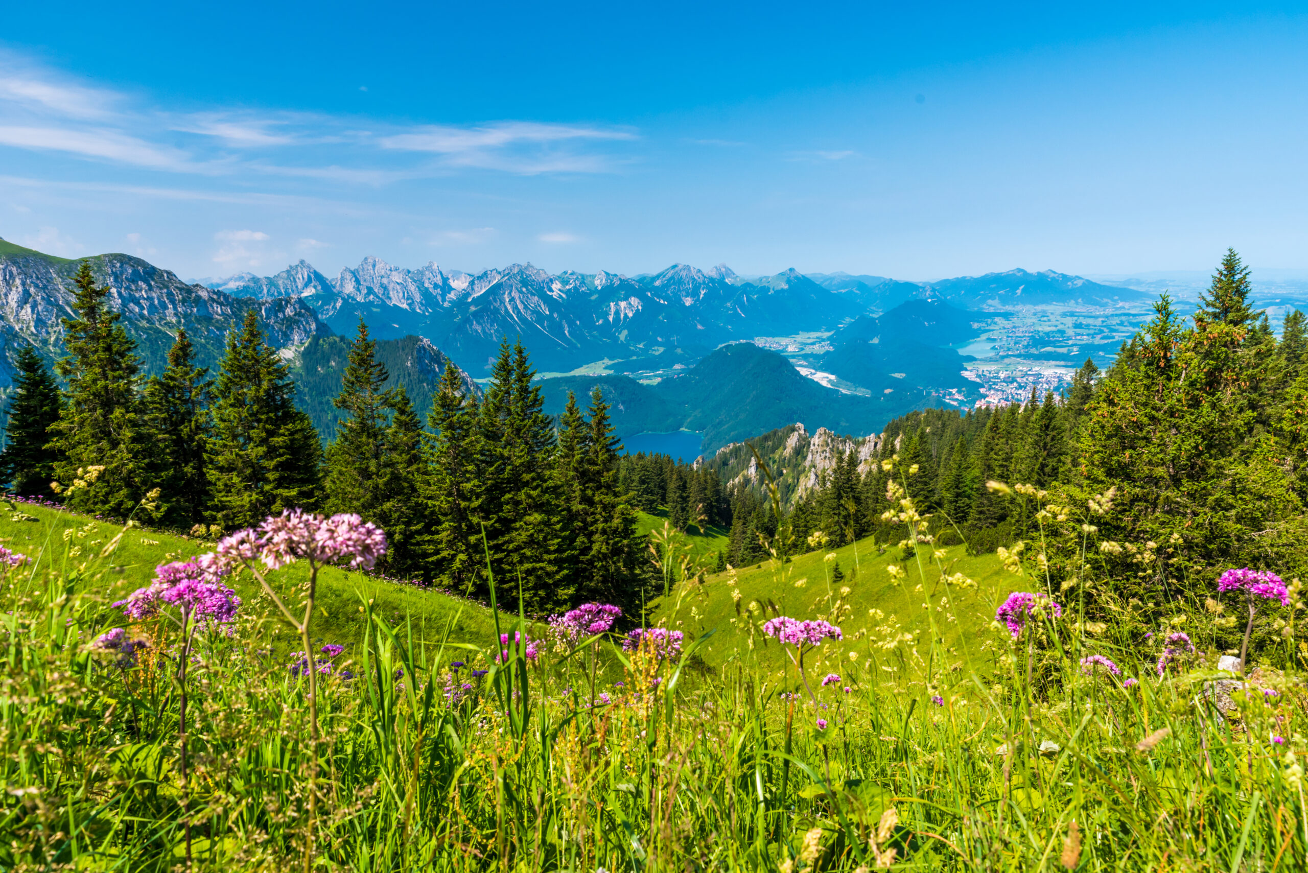 Schöne Landschaft in der Racecourse-Alpen,